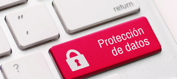 11ley orgánica de protección de datos